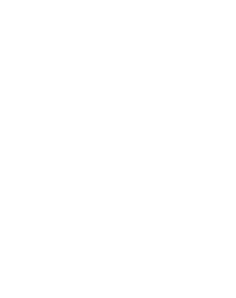 The Digital Walrus - Most Affordable Digital Marketing Agency in Jaipur